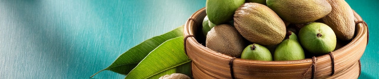 Halile (Terminalia chebula): Meyvesinin Hücresel Koruyucu Potansiyeli