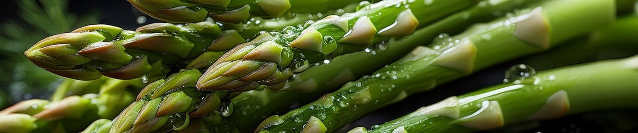 Kuşkonmaz (Asparagus officinalis): Geleneksel Sebzeden Fonksiyonel Bileşene