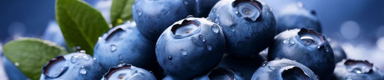 Yaban Mersini (Vaccinium spp.): Antioksidan Gücü ve Metabolik Sağlıkla İlişkisi