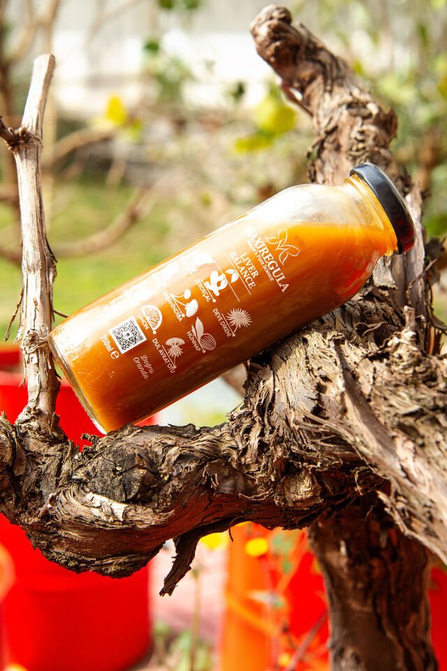 Liver Balance Bitkisel İçerikli Fonksiyonel %100 Şeftali & Elma Meyve Suyu (250ml)