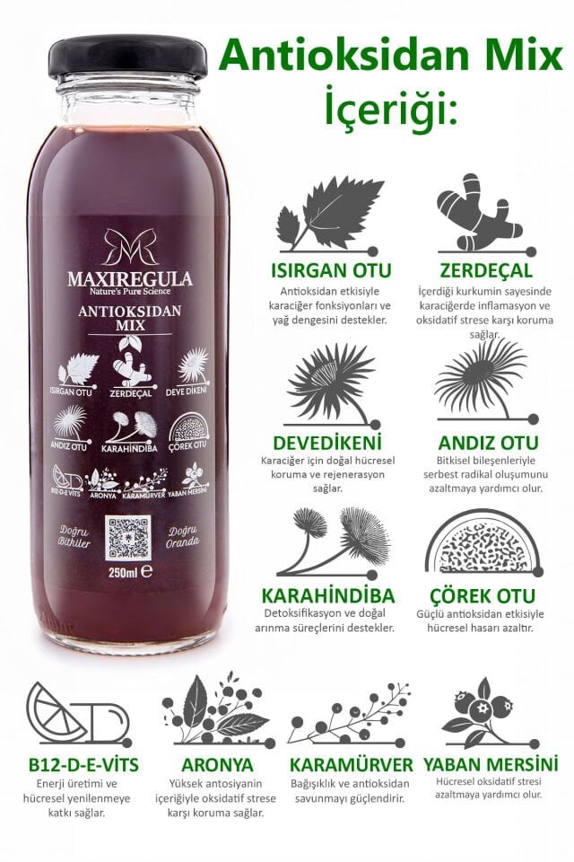 Antioksidan Mix Bitkisel İçerikli Fonksiyonel %100 Vişne Meyve Suyu (250ml)