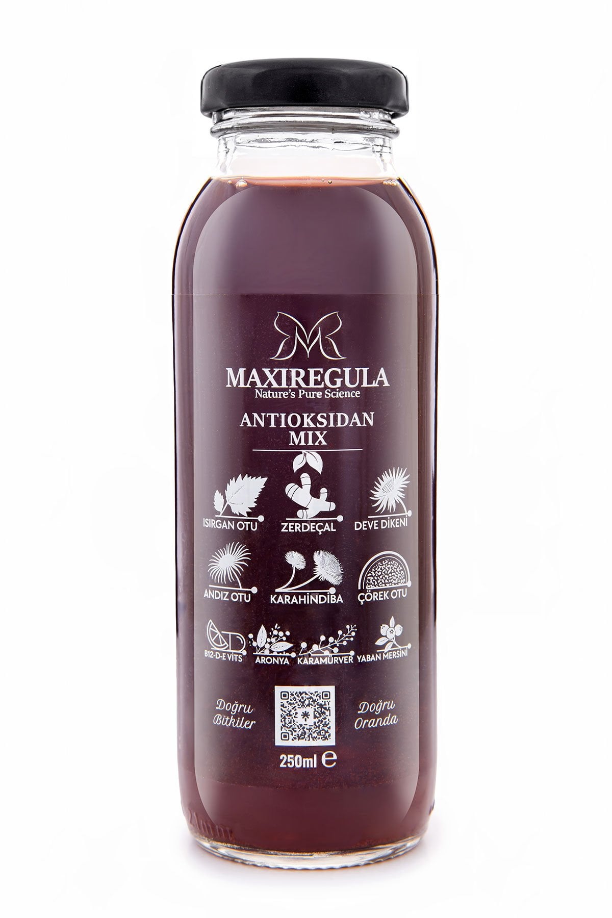 Antioksidan Mix Bitkisel İçerikli Fonksiyonel %100 Vişne Meyve Suyu (250ml)