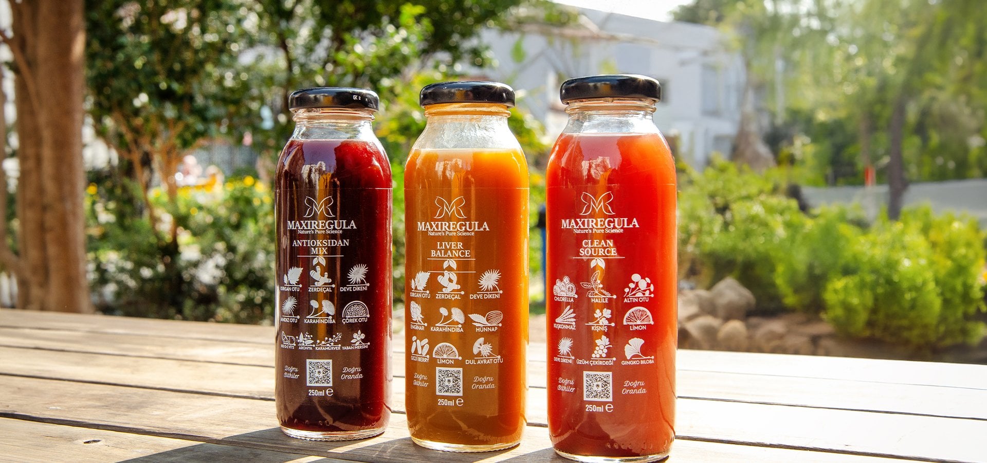 FONKSİYONEL İÇECEK AİLESİ